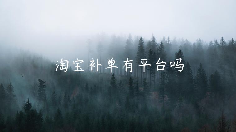 淘寶補(bǔ)單有平臺嗎